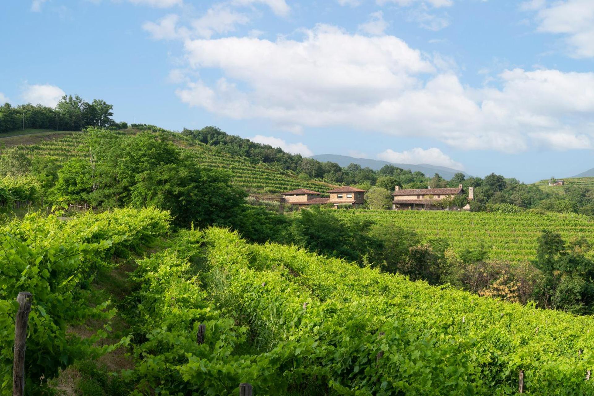 Lis Fadis Wine Relais Villa Cividale Del Friuli Exterior photo